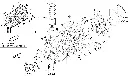 39366_1[1].webp